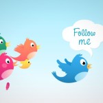 Twitter Follow Me