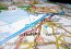 Social Media Roadmap