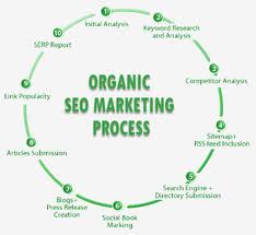 Search Engine Optimizer