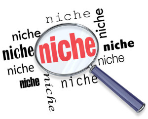 blogging-niche
