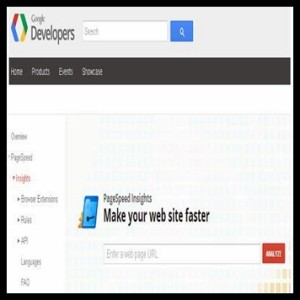 pagespeed-insights-google