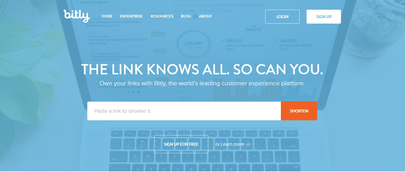 bitly